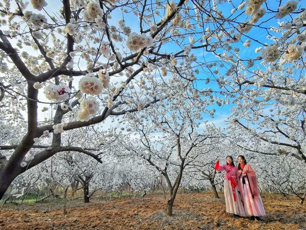 河南兩(liǎng)會(huì)丨鄉村旅遊缺乏地方指導性文件，怎麼(me)破？省人大代表魯玉提出建議