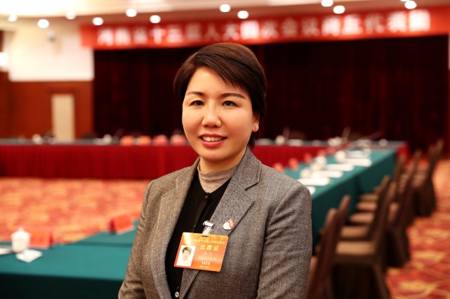 河南兩(liǎng)會(huì)丨鄉村旅遊缺乏地方指導性文件，怎麼(me)破？省人大代表魯玉提出建議